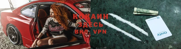 тгк Ладушкин