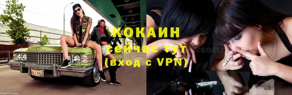 тгк Ладушкин