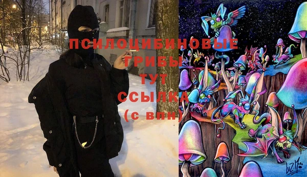 дживик Куйбышев