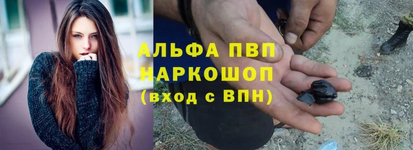 тгк Ладушкин