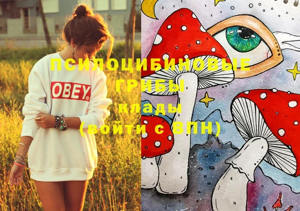 соль курить ск Кукмор