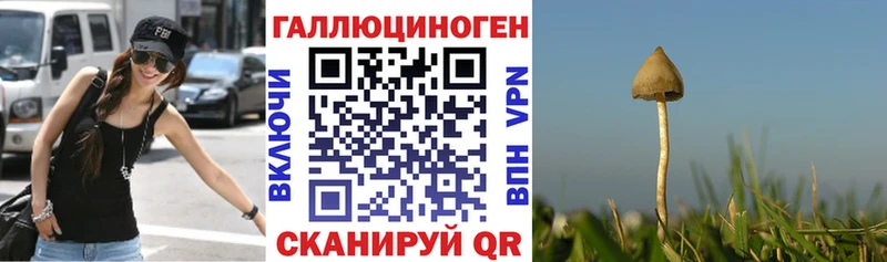 Псилоцибиновые грибы ЛСД мега ТОР это какой сайт Лиски